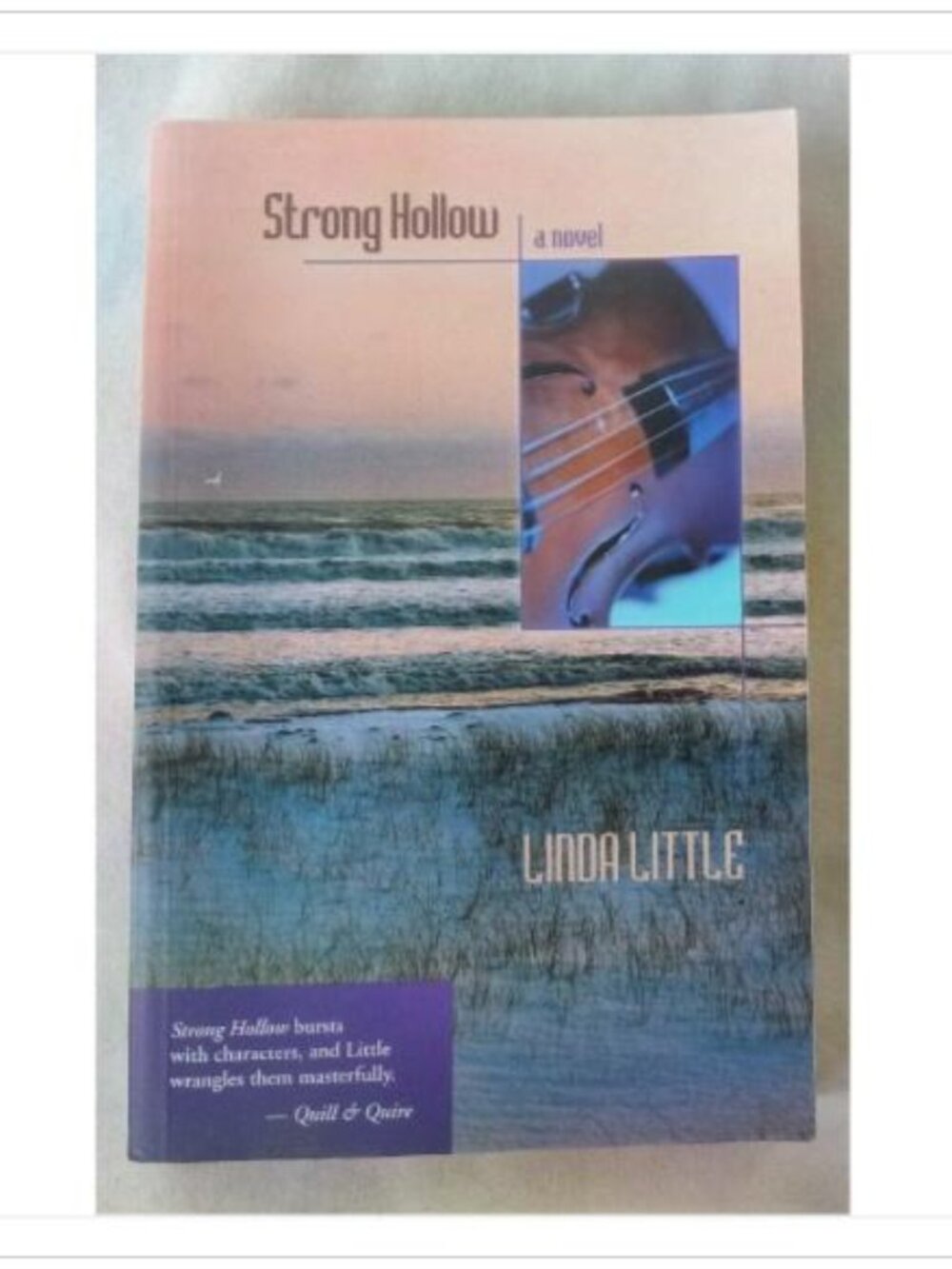 Strong Hollow Linda Little 2001 First Edition Book Vintage Novel Read Classic